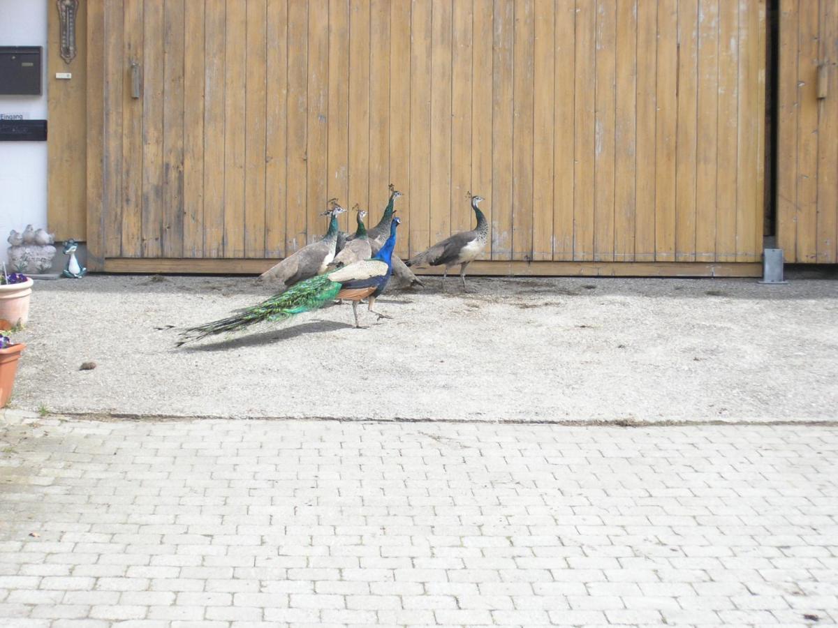 Ferienhof Mueller Vorderburg Buitenkant foto